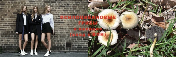 мдпв Баксан