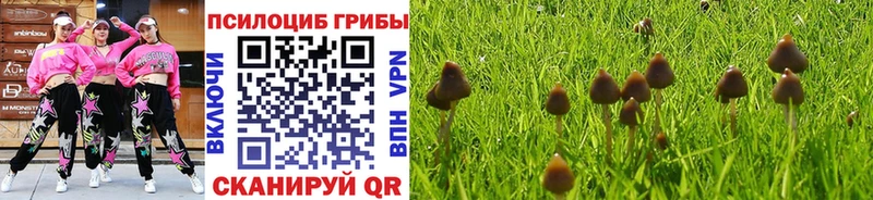 hydra tor  Кунгур  Галлюциногенные грибы Psilocybine cubensis  купить закладку 