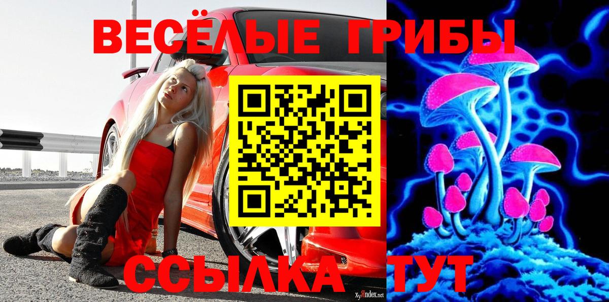Галлюциногенные грибы Psilocybine cubensis Кунгур