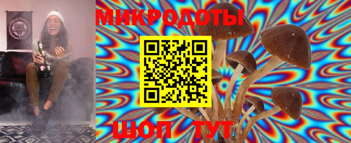 Кунгур  купить наркотик  Вход с VPN  Псилоцибиновые грибы GOLDEN TEACHER 